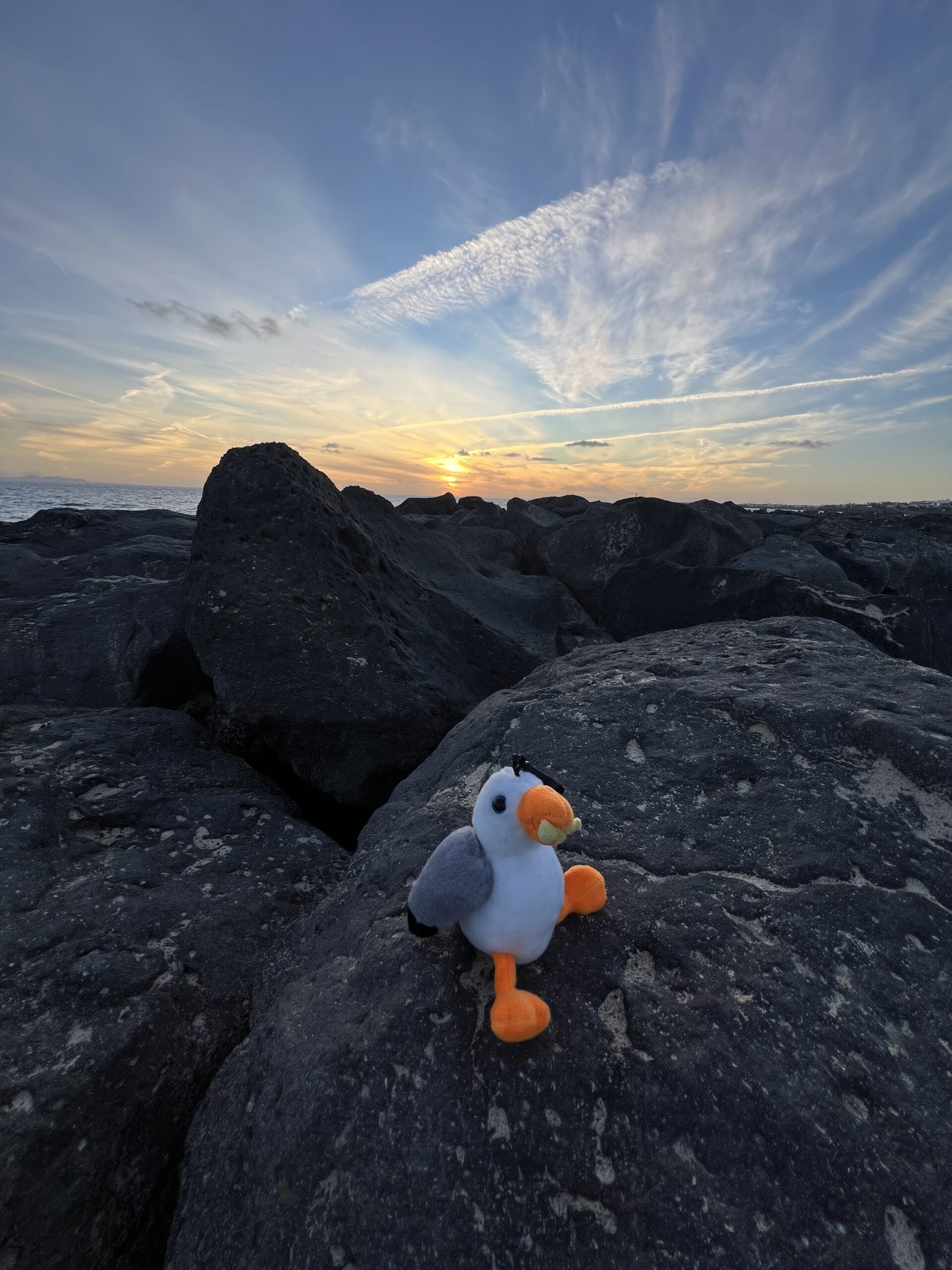 alt="soft toy seagull sitting on a rock at sunset"