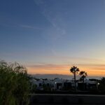 alt="sunset with local rooftops & palm trees in the foreground"