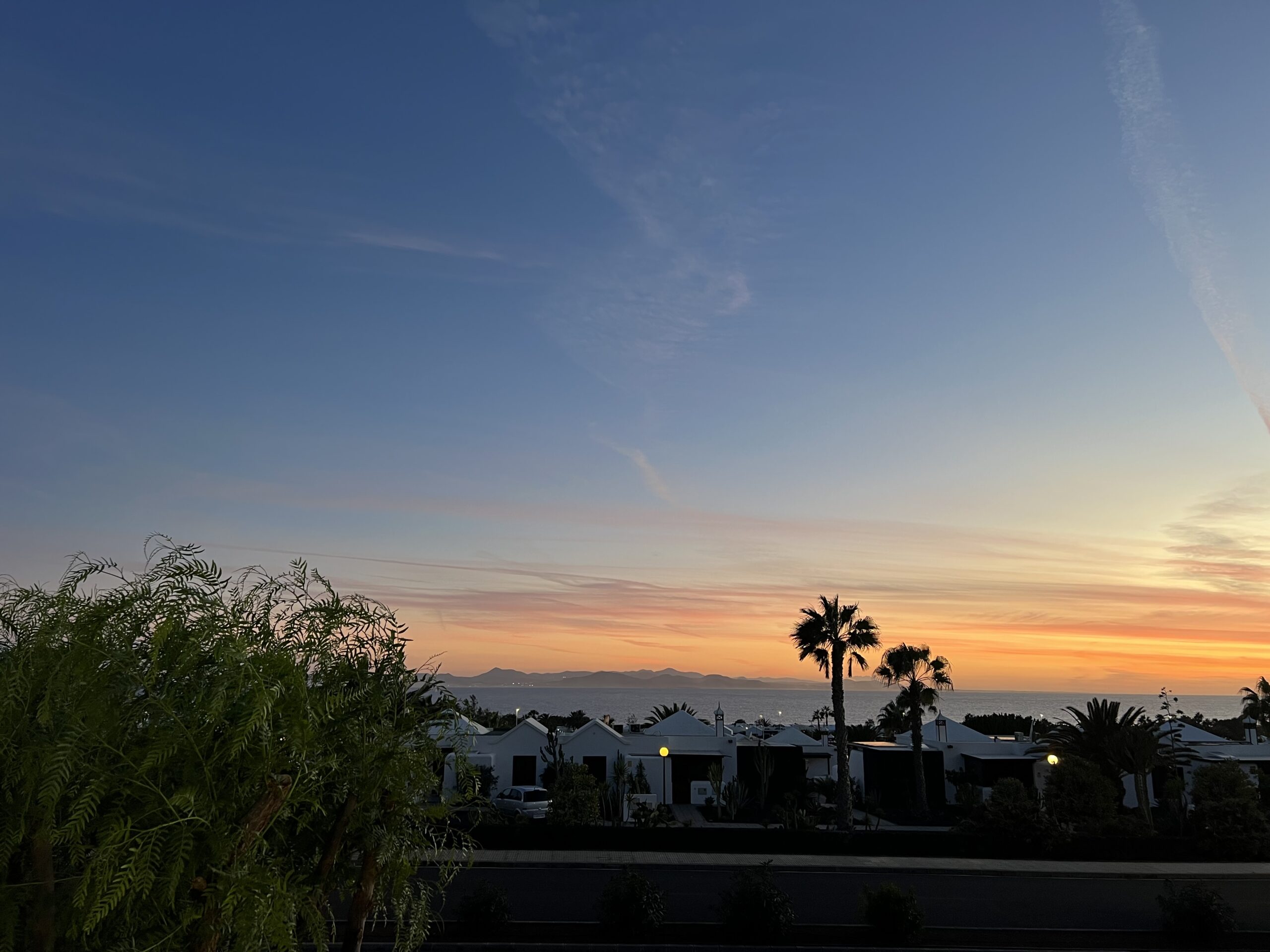 alt="sunset with local rooftops & palm trees in the foreground"