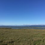 alt="grass with inlet of water & coast line in background"