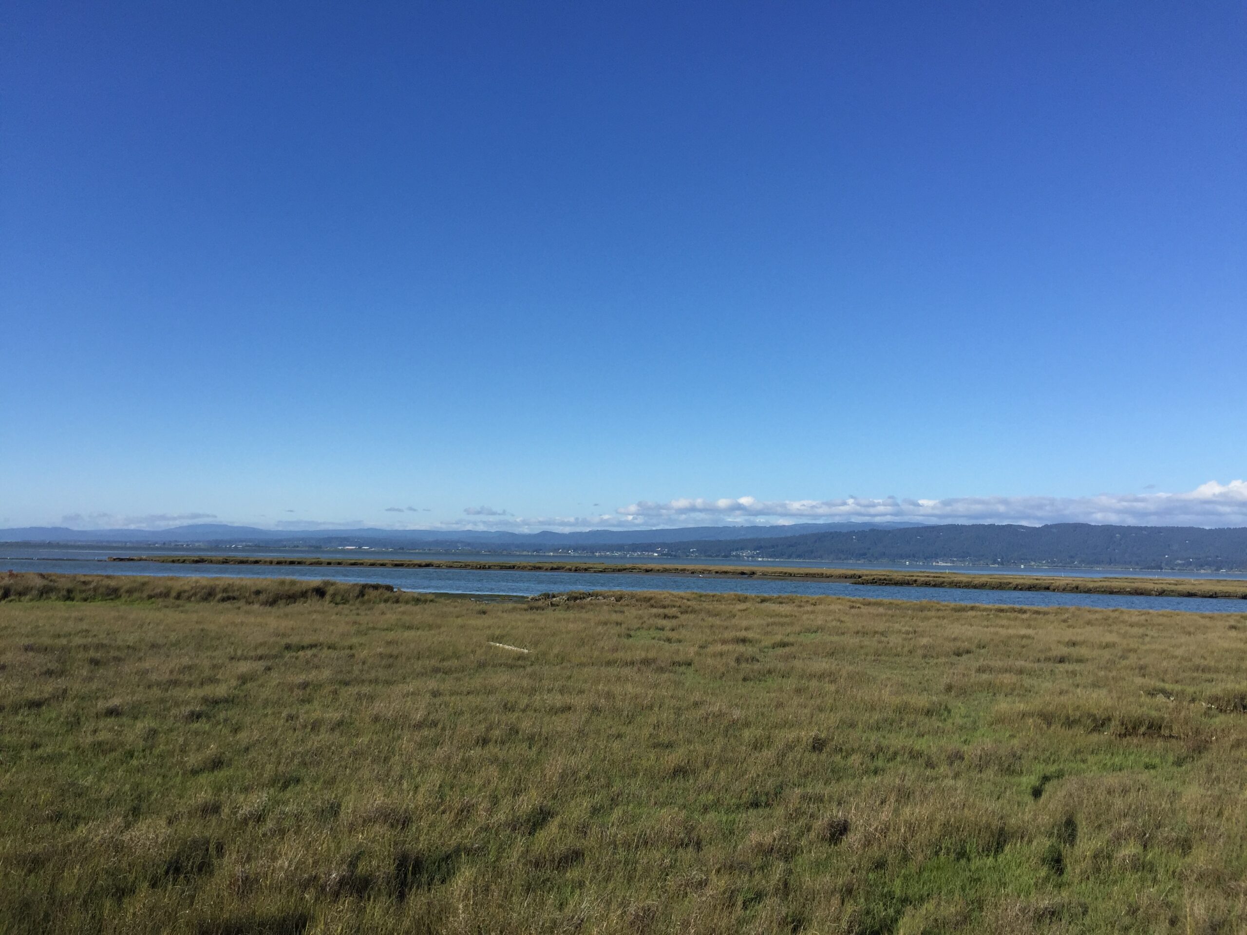 alt="grass with inlet of water & coast line in background"