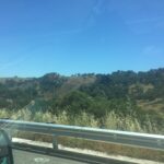 alt=view out of van window of trees & sky"