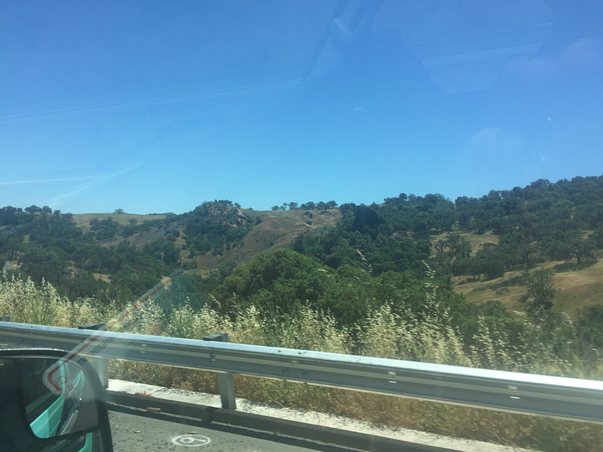 alt=view out of van window of trees & sky"