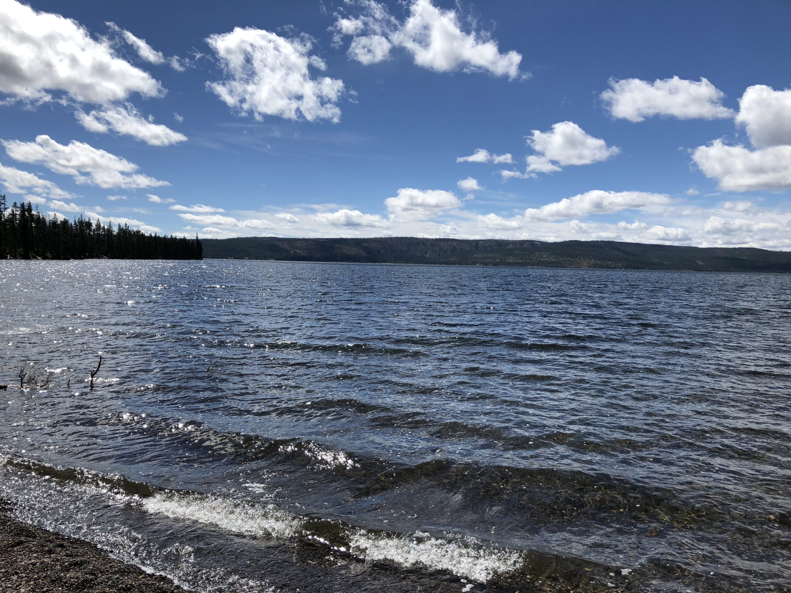 alt="shoreline on lake with blue sky & clouds"
