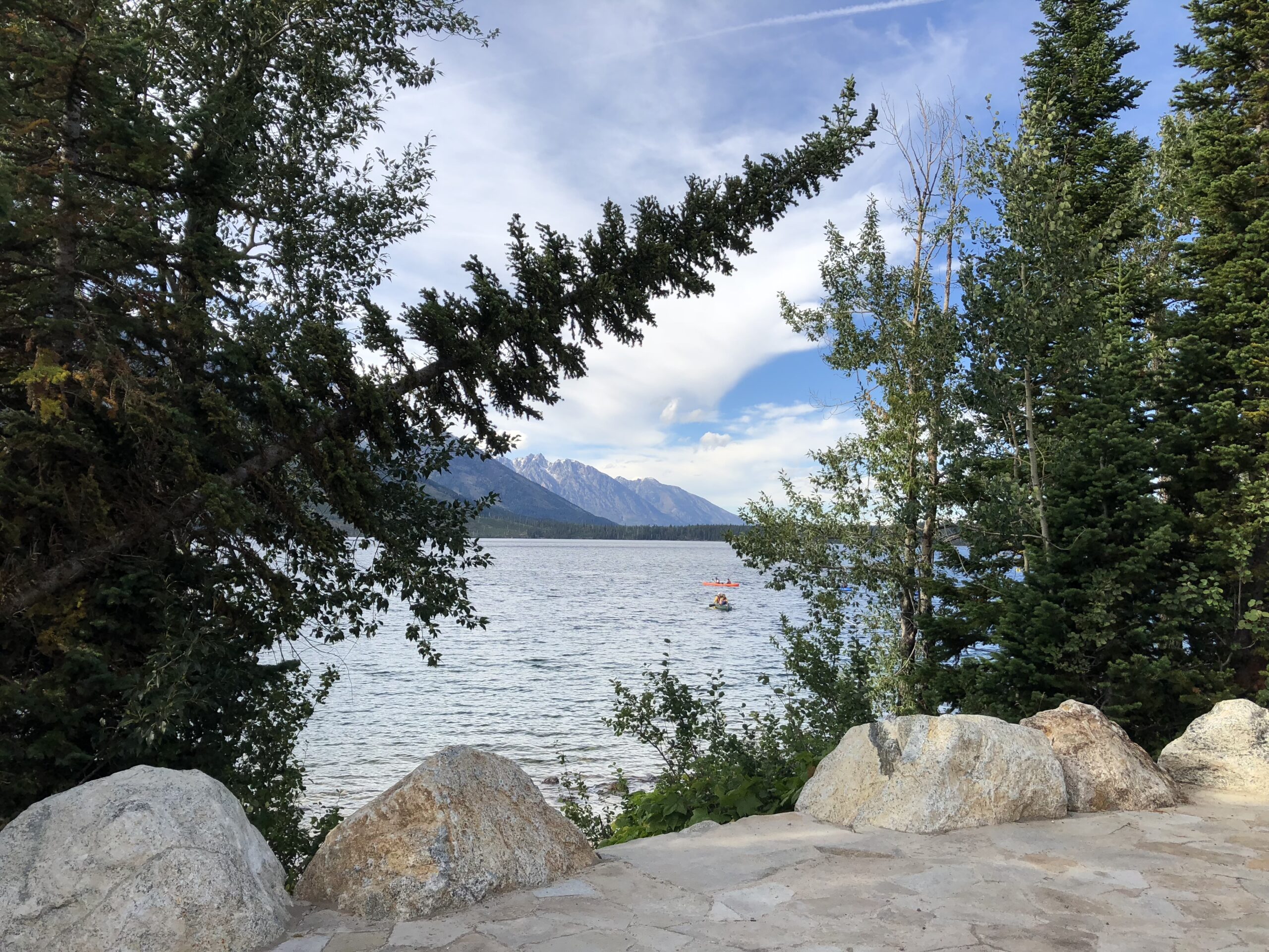 alt=" view between the pine trees of lake with people in canoes"