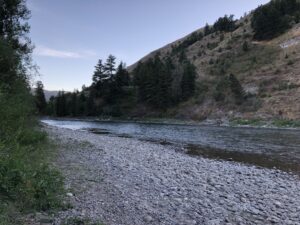 alt="stoney foreshore with river"