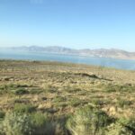 alt="scrub foreshore with lake & mountain in background"