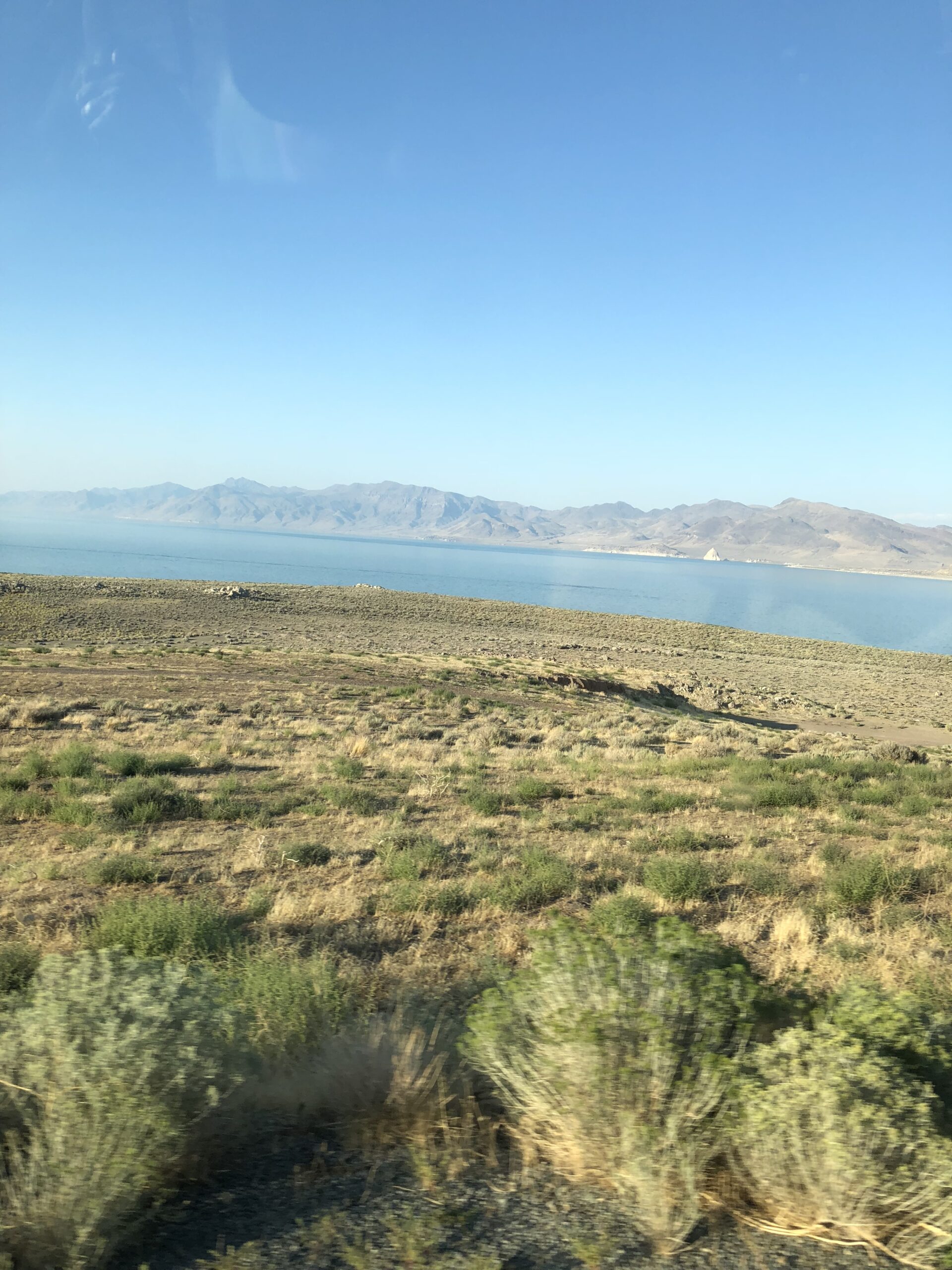 alt="scrub foreshore with lake & mountain in background"