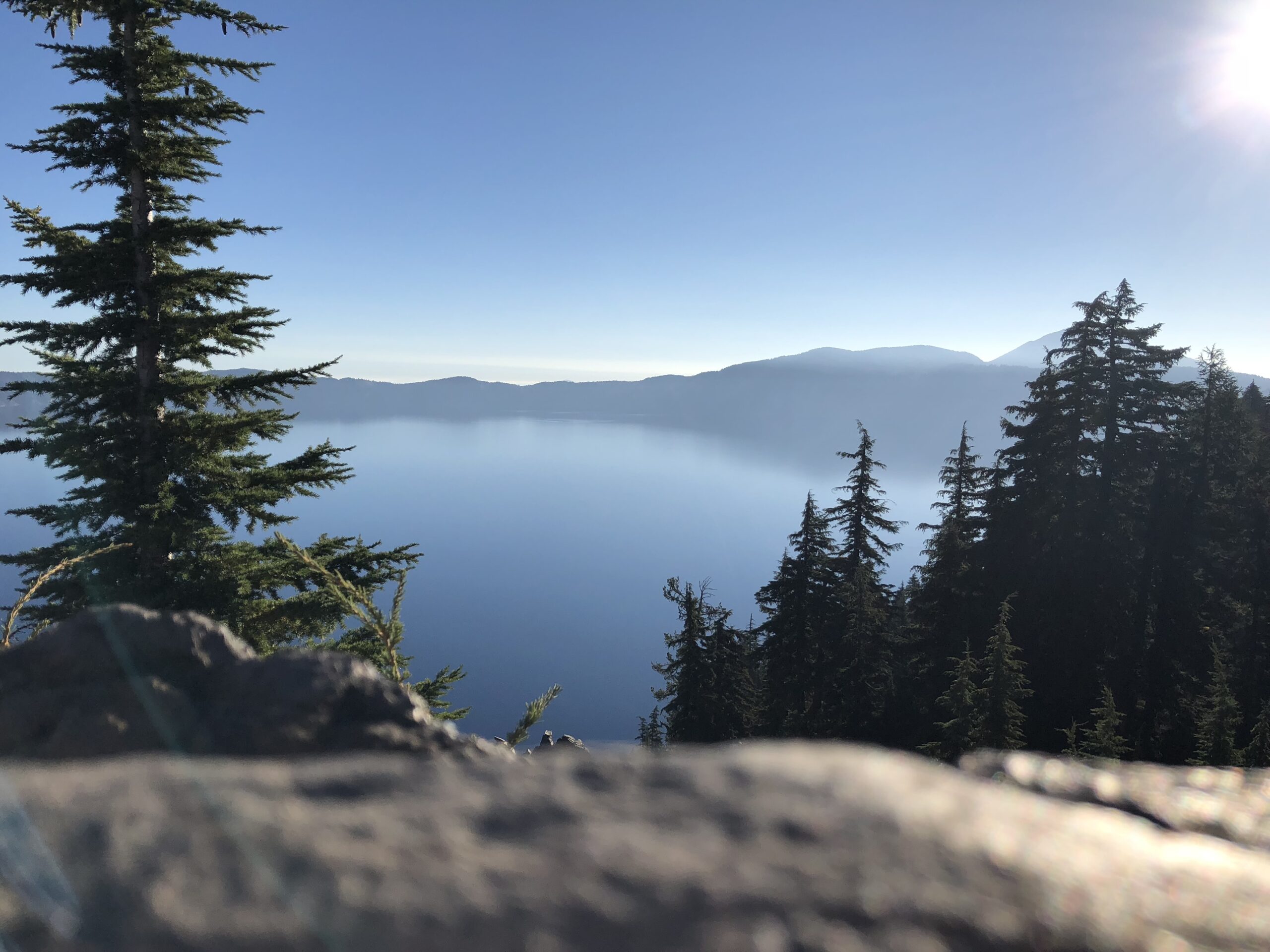 alt="pine trees with lake & mountains in the mist"