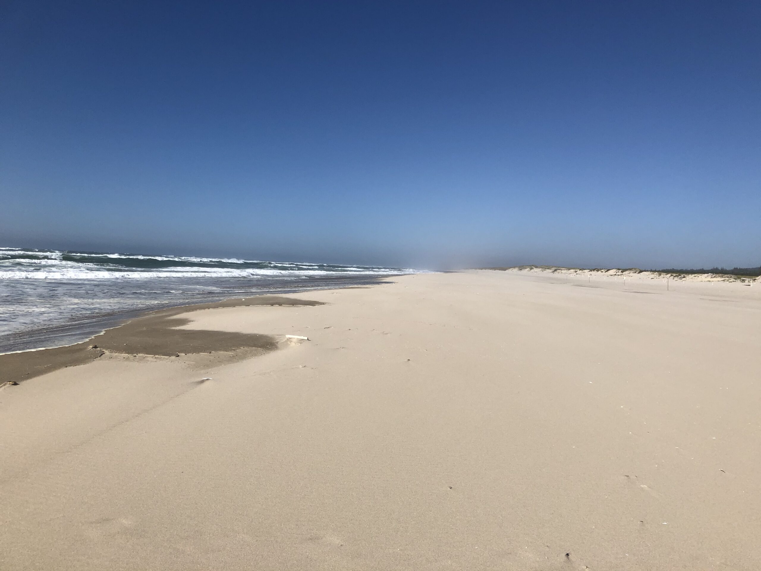 alt="sandy beach with blue sky & waves"