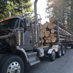 alt="huge truck with logs on"