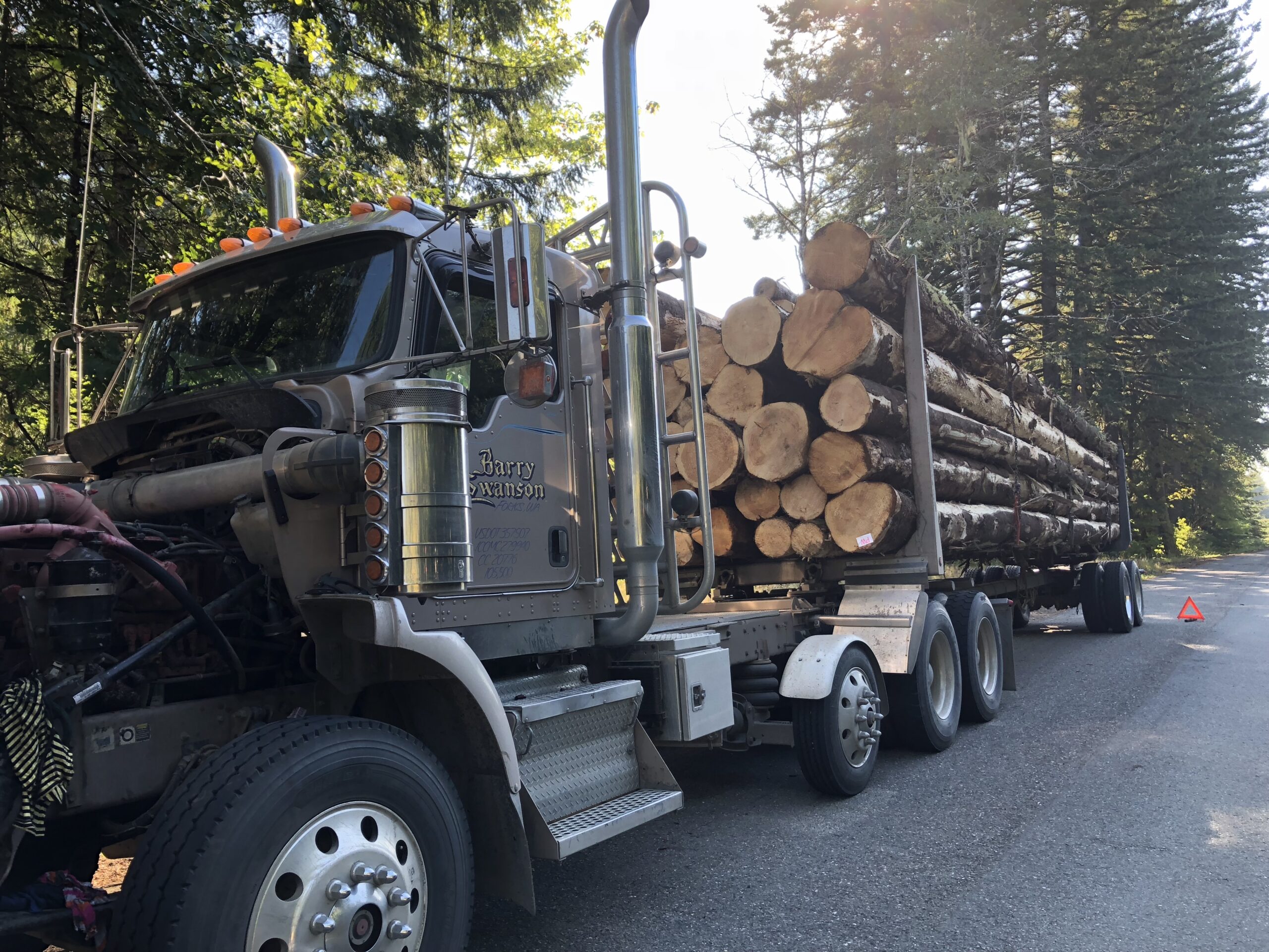 alt="huge truck with logs on"