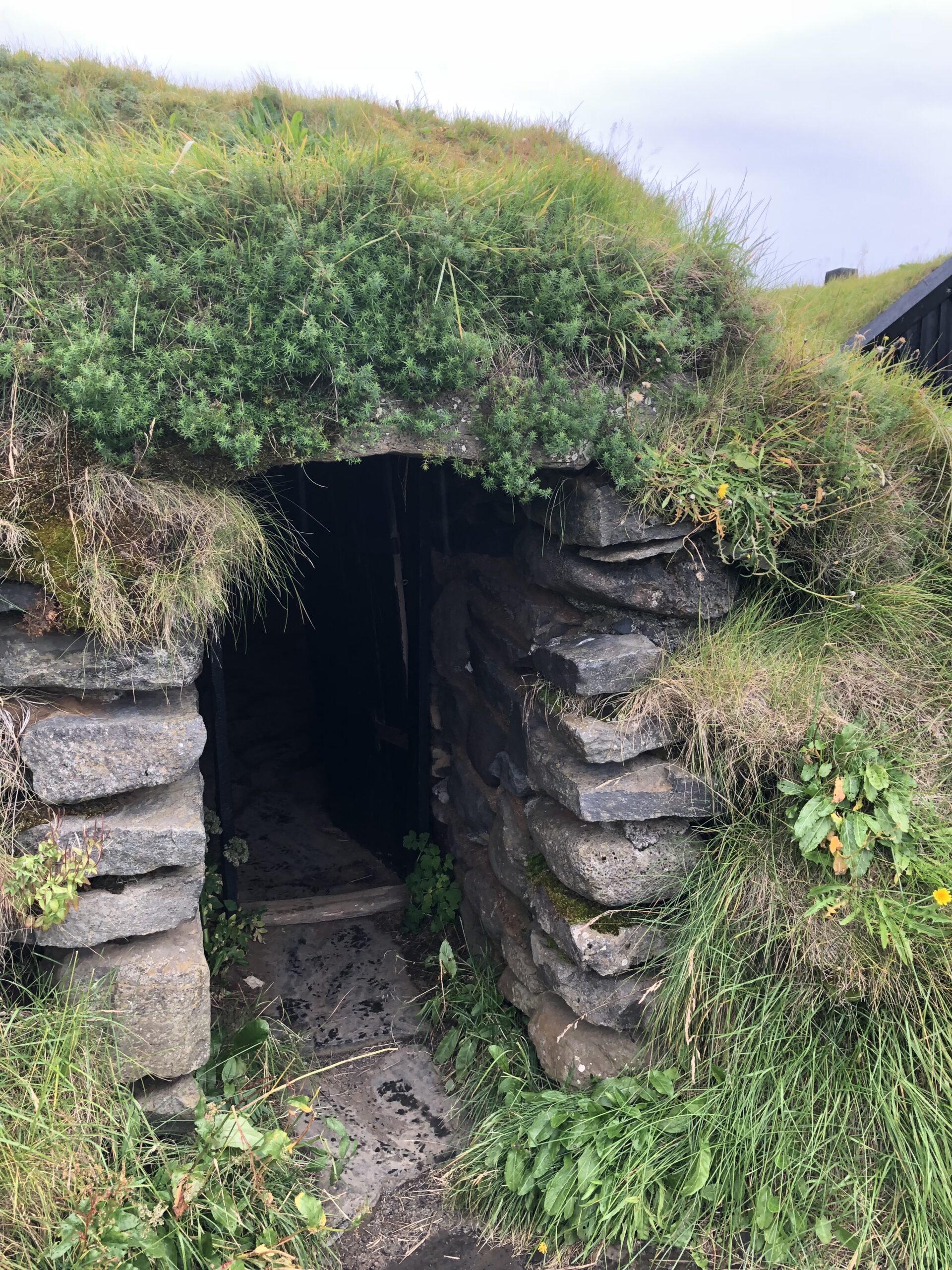 alt="small entrance to structure with grass roof"