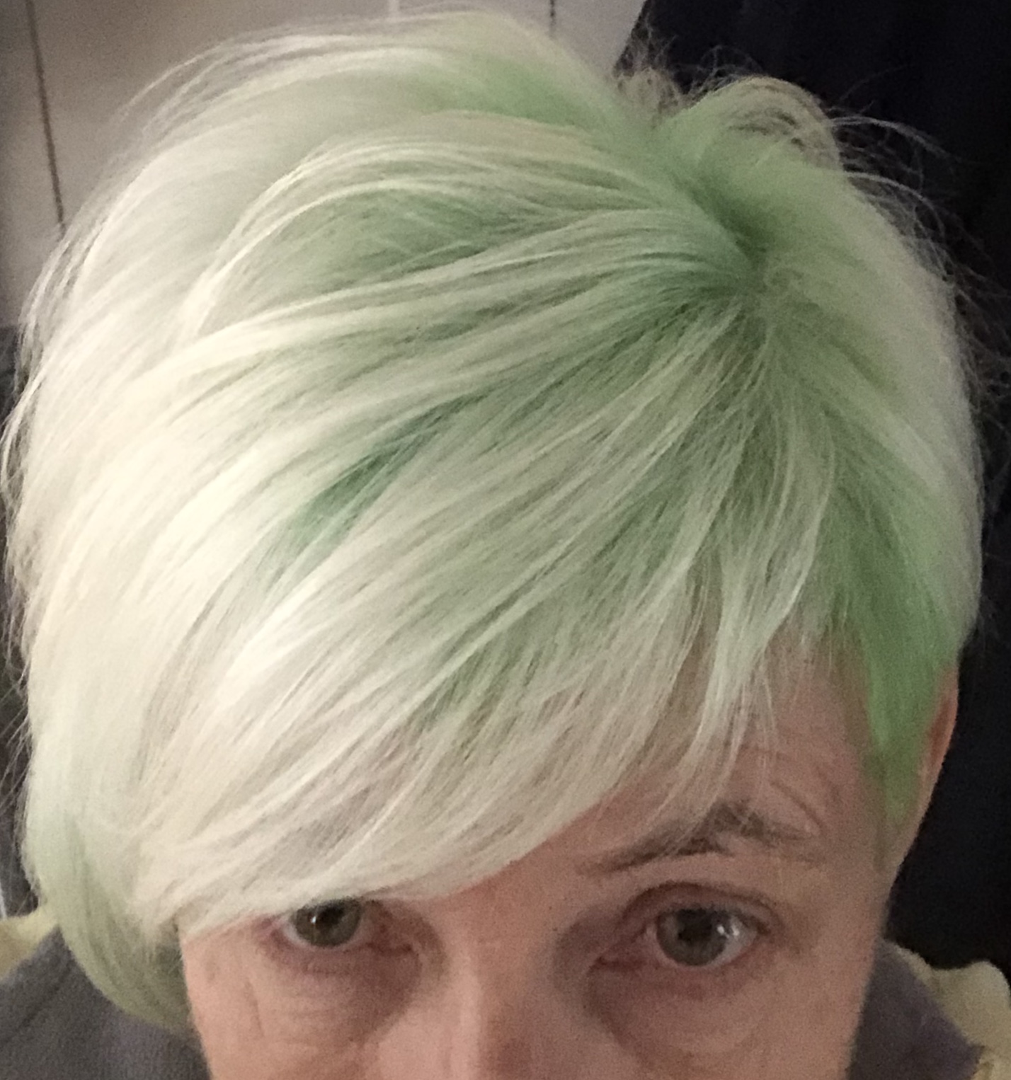 alt="short hair coloured green & white"