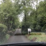 alt="country lane with trees & grass & hedges"