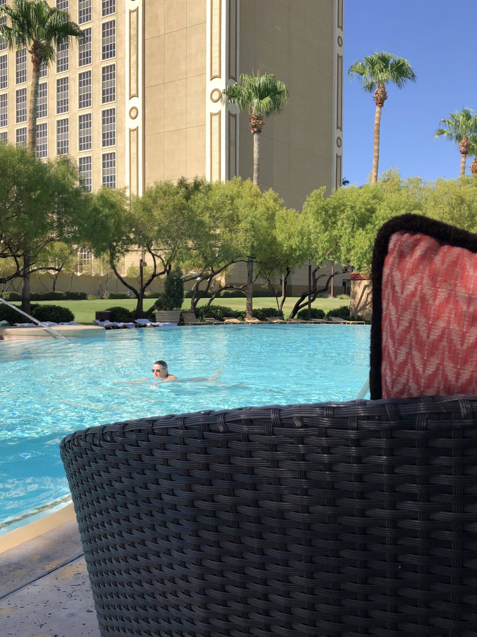 alt"person swimming in the pool"