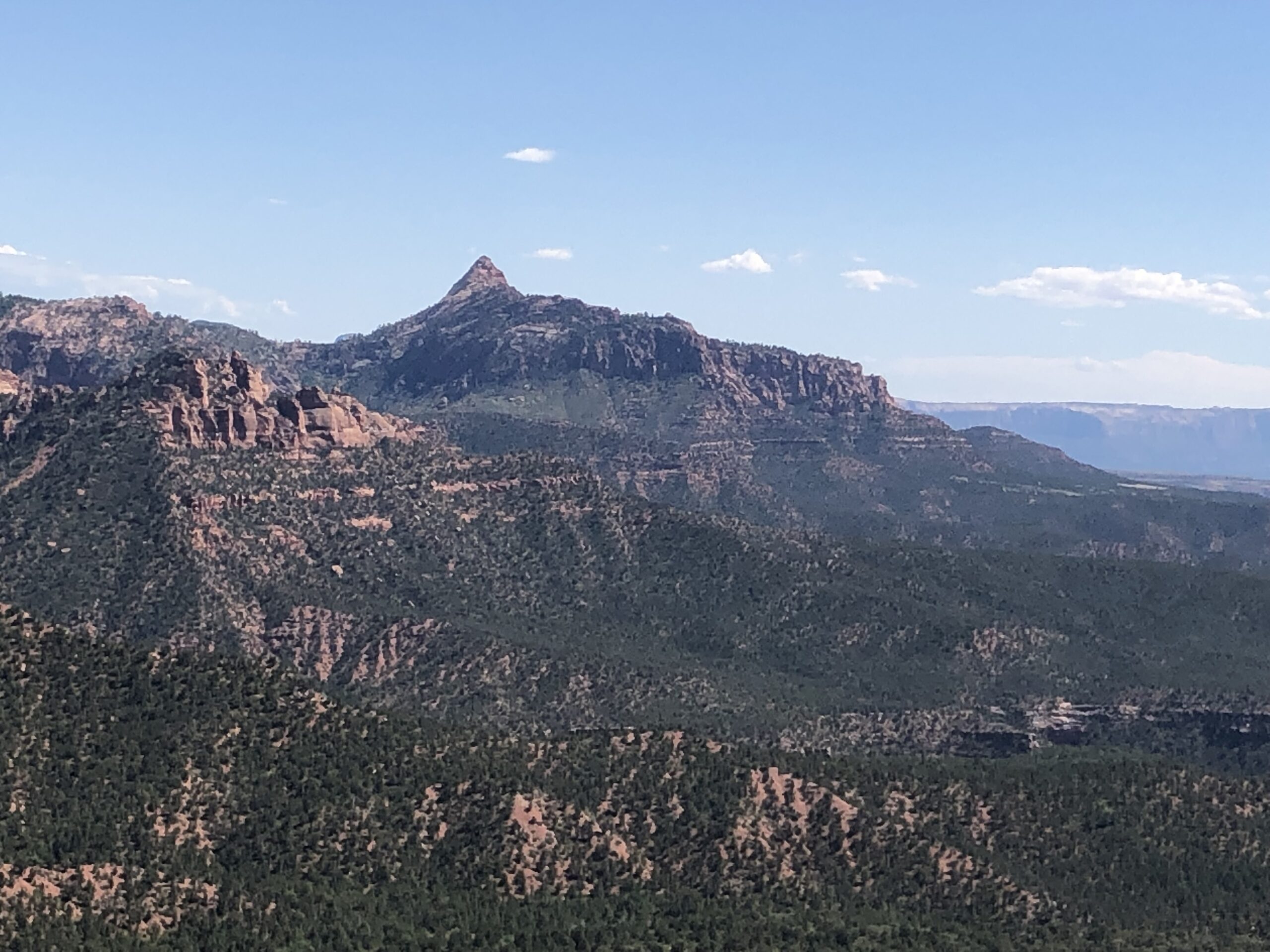alt="mountains in distance covered in trees"