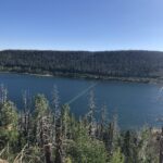 alt="trees on a bank with lake in background"