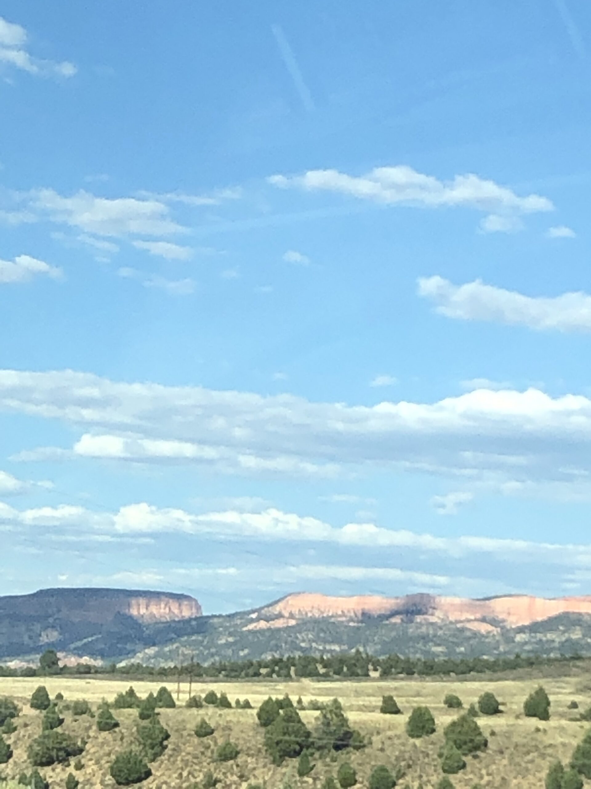 alt=scrubland with bushes & mountains in background"