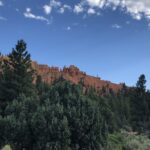 alt="hodos in distance with trees in foreground"
