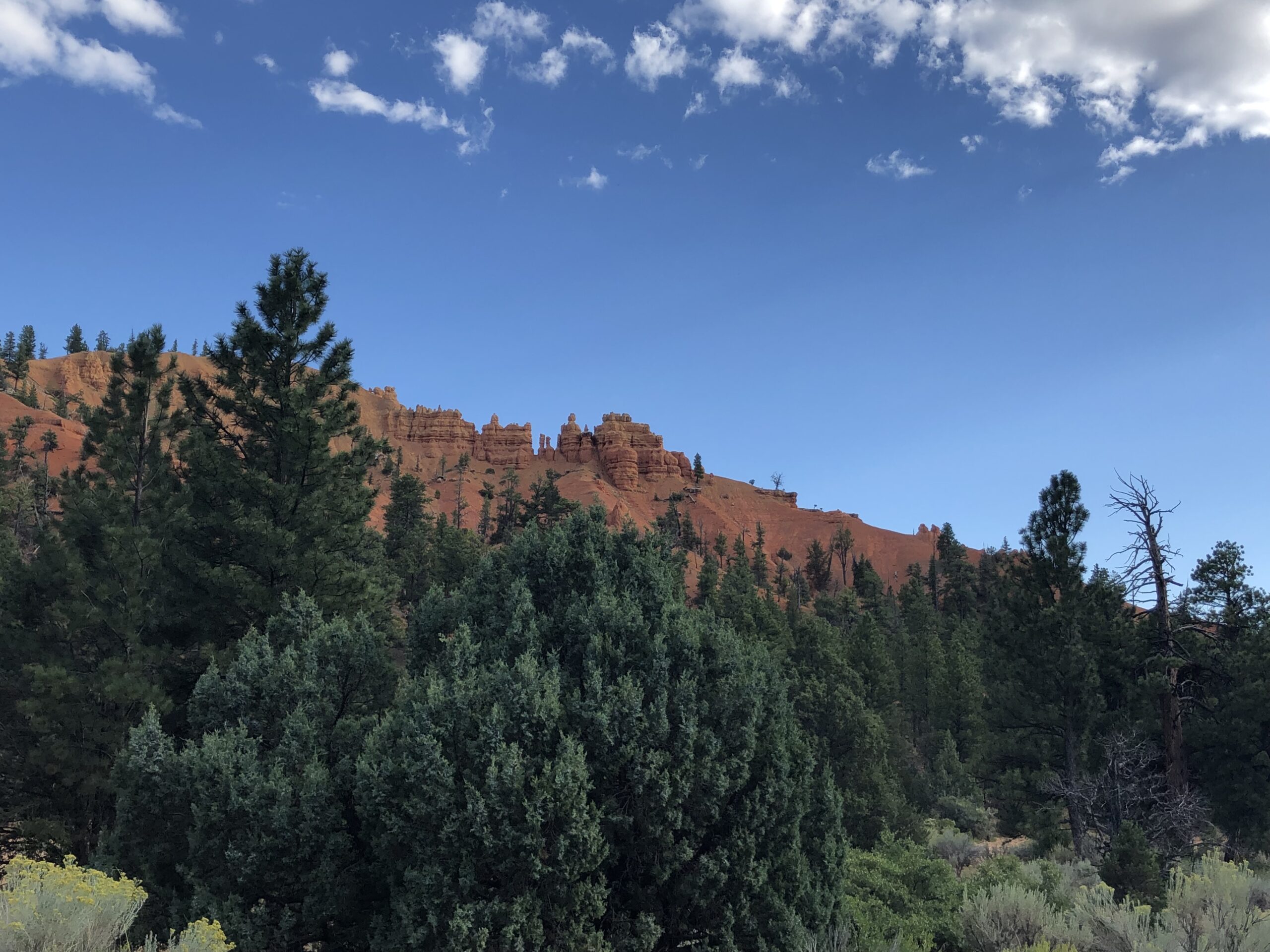 alt="hodos in distance with trees in foreground"