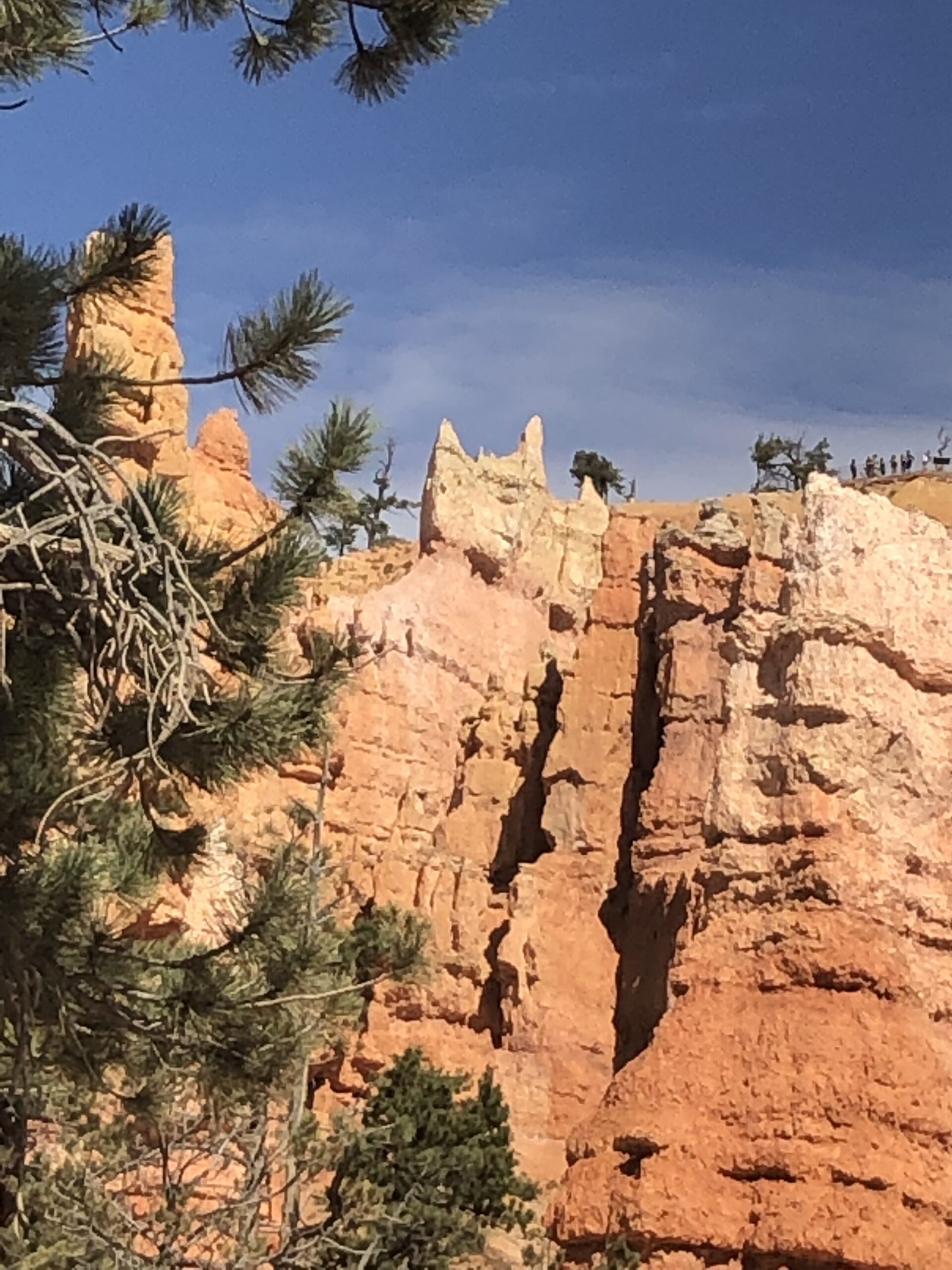 alt="unusual rock shapes"