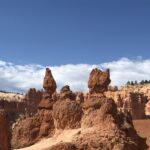 alt="todos along the trail"