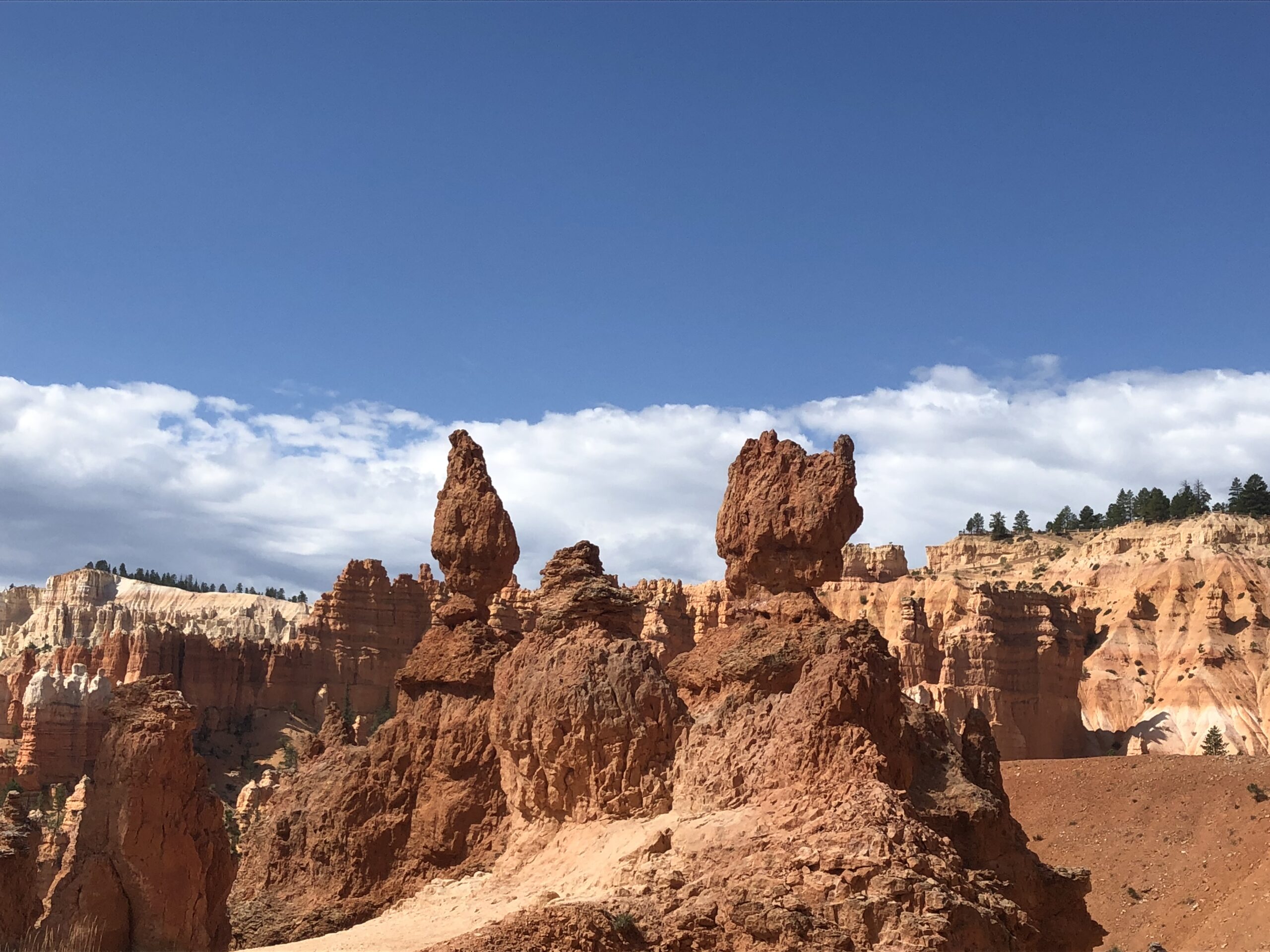 alt="todos along the trail"