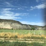 alt="bright green grass with striped hills in background"