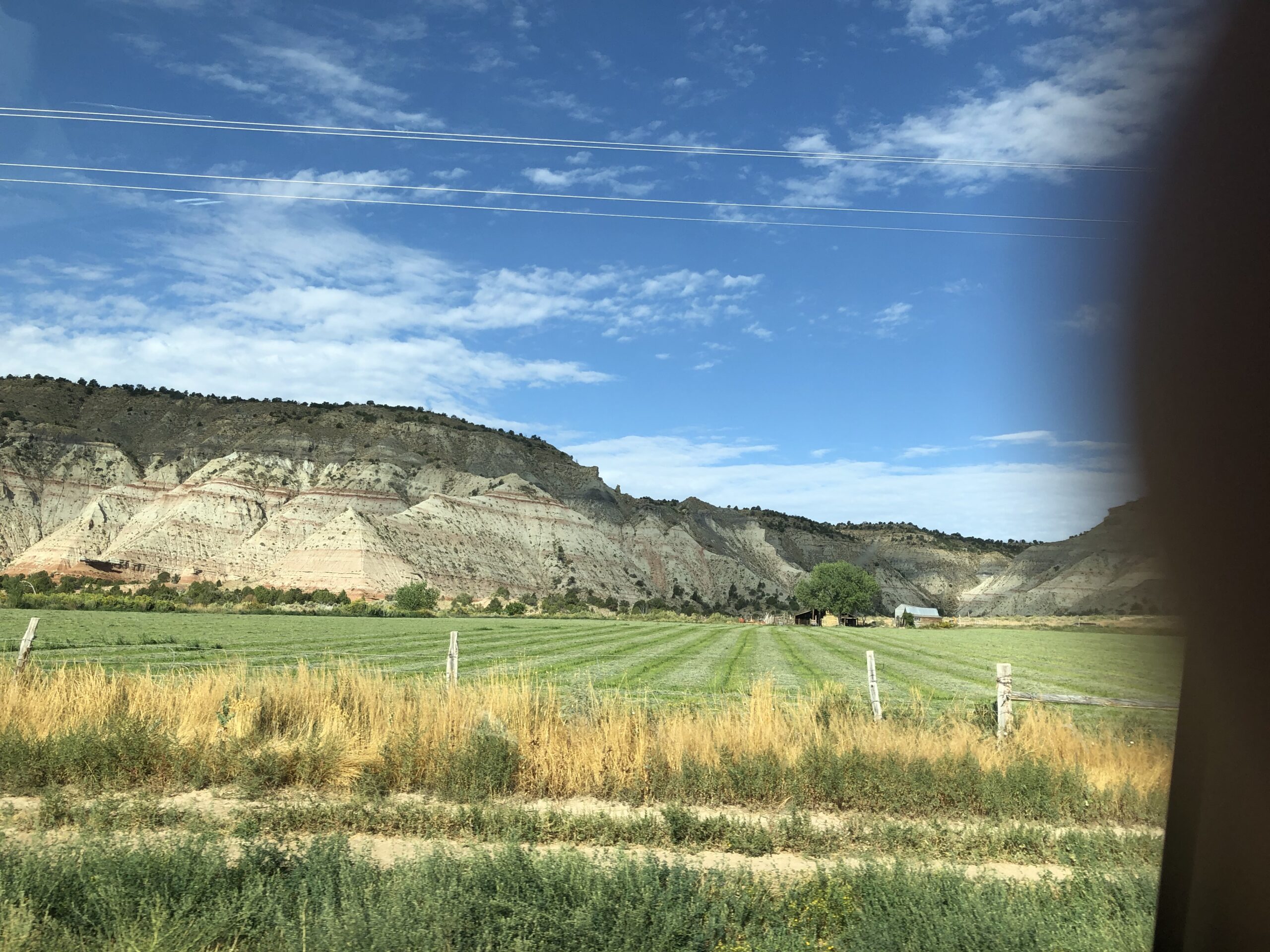 alt="bright green grass with striped hills in background"