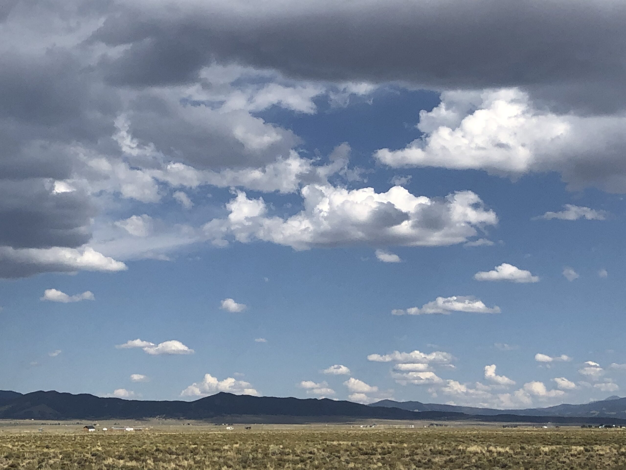 alt="sandy grass with animals & mountains in distance"