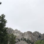 alt="tree with stone faces carved into cliff"