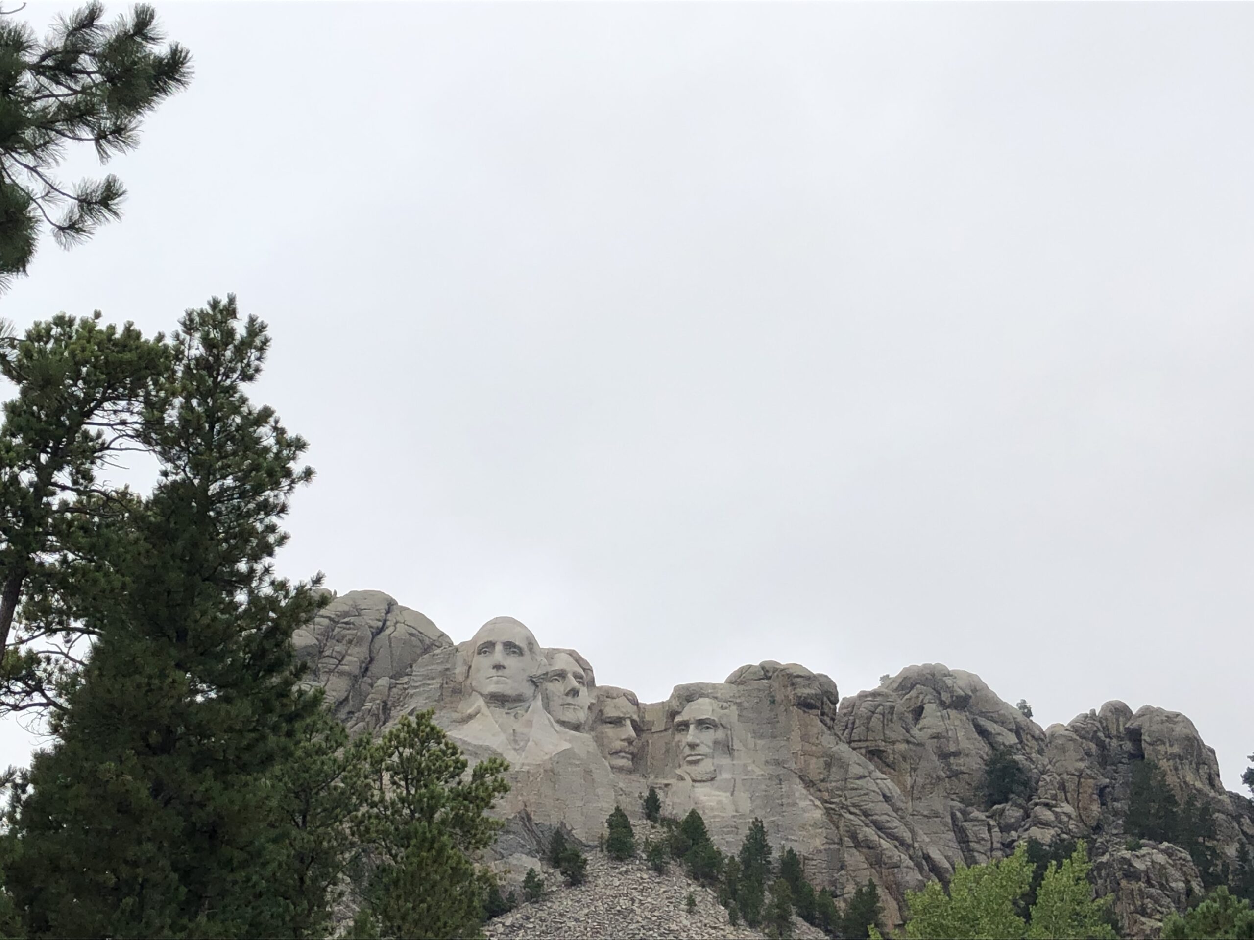 alt="tree with stone faces carved into cliff"