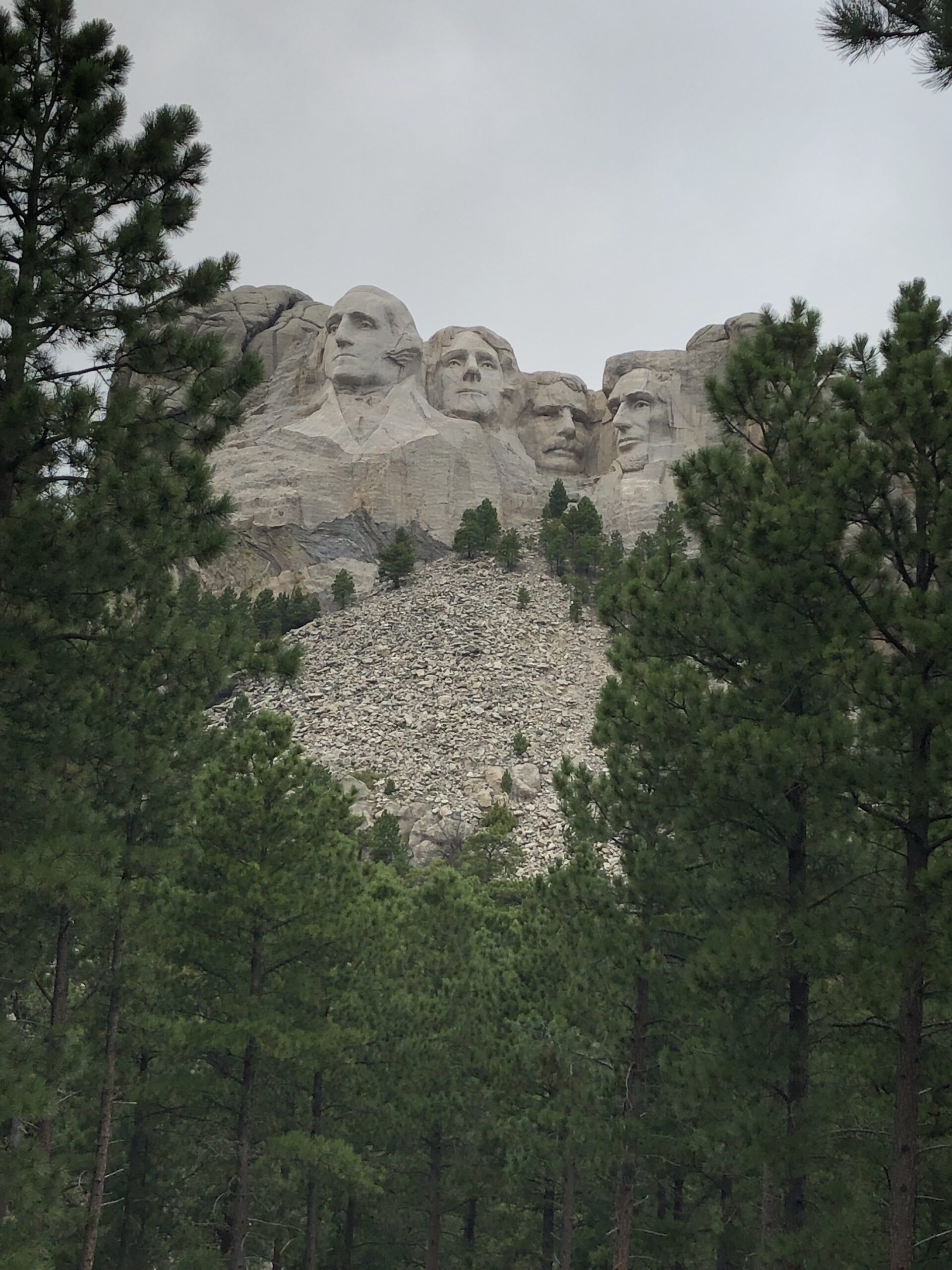 alt="trees with stone faces above"