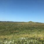 alt="grass land over a small incline"