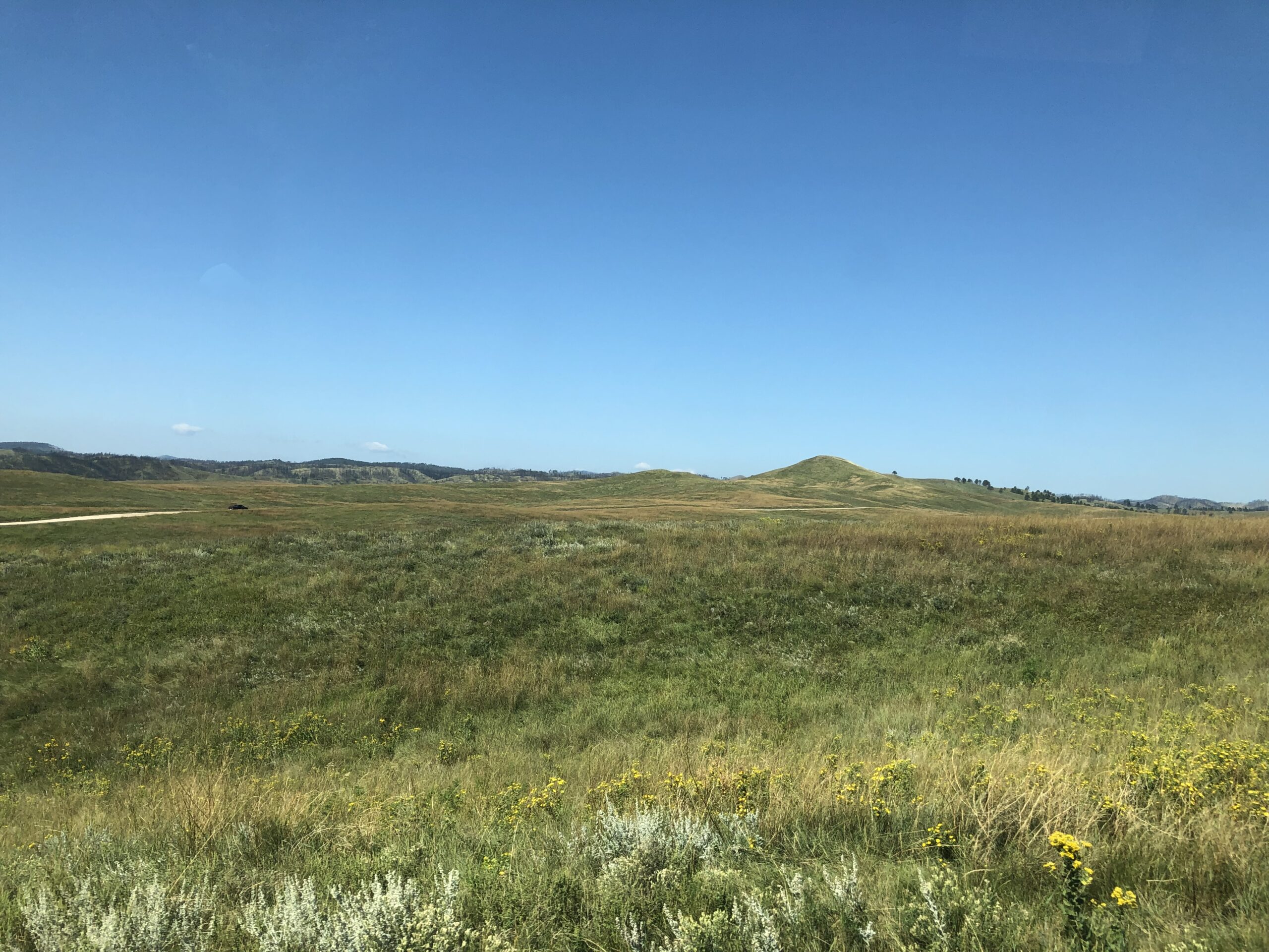 alt="grass land over a small incline"