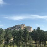 alt="trees with stone carving on man& horse"