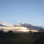 alt="grass with sun setting"