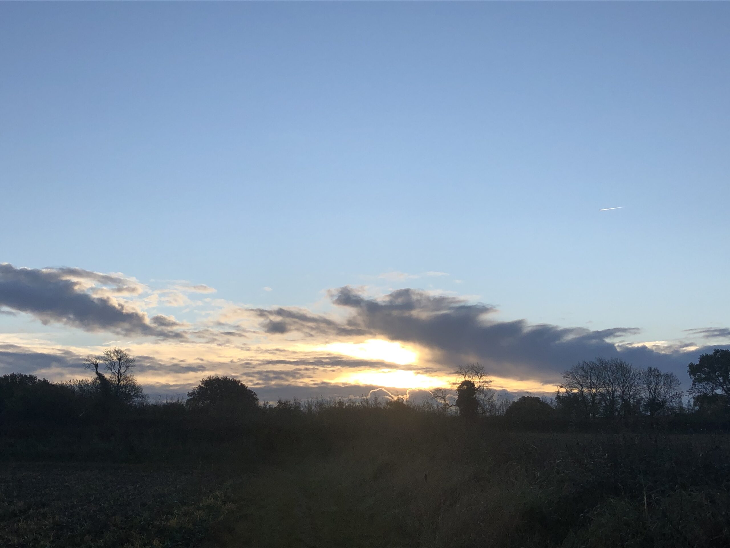 alt="grass with sun setting"