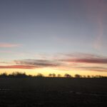 alt="grass with trees in line on horizon"