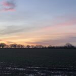 alt="muddy field with coloured sky"