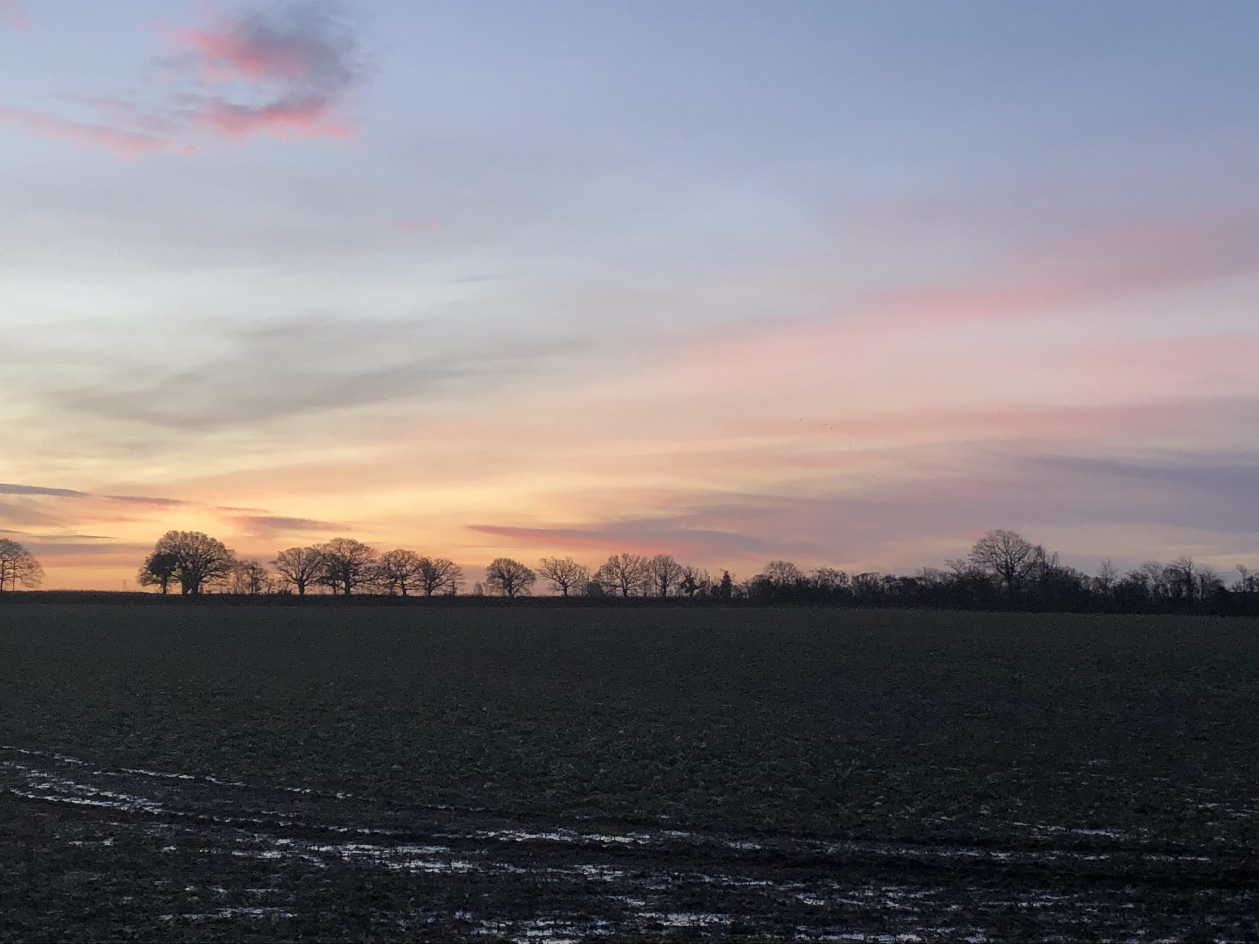 alt="muddy field with coloured sky"