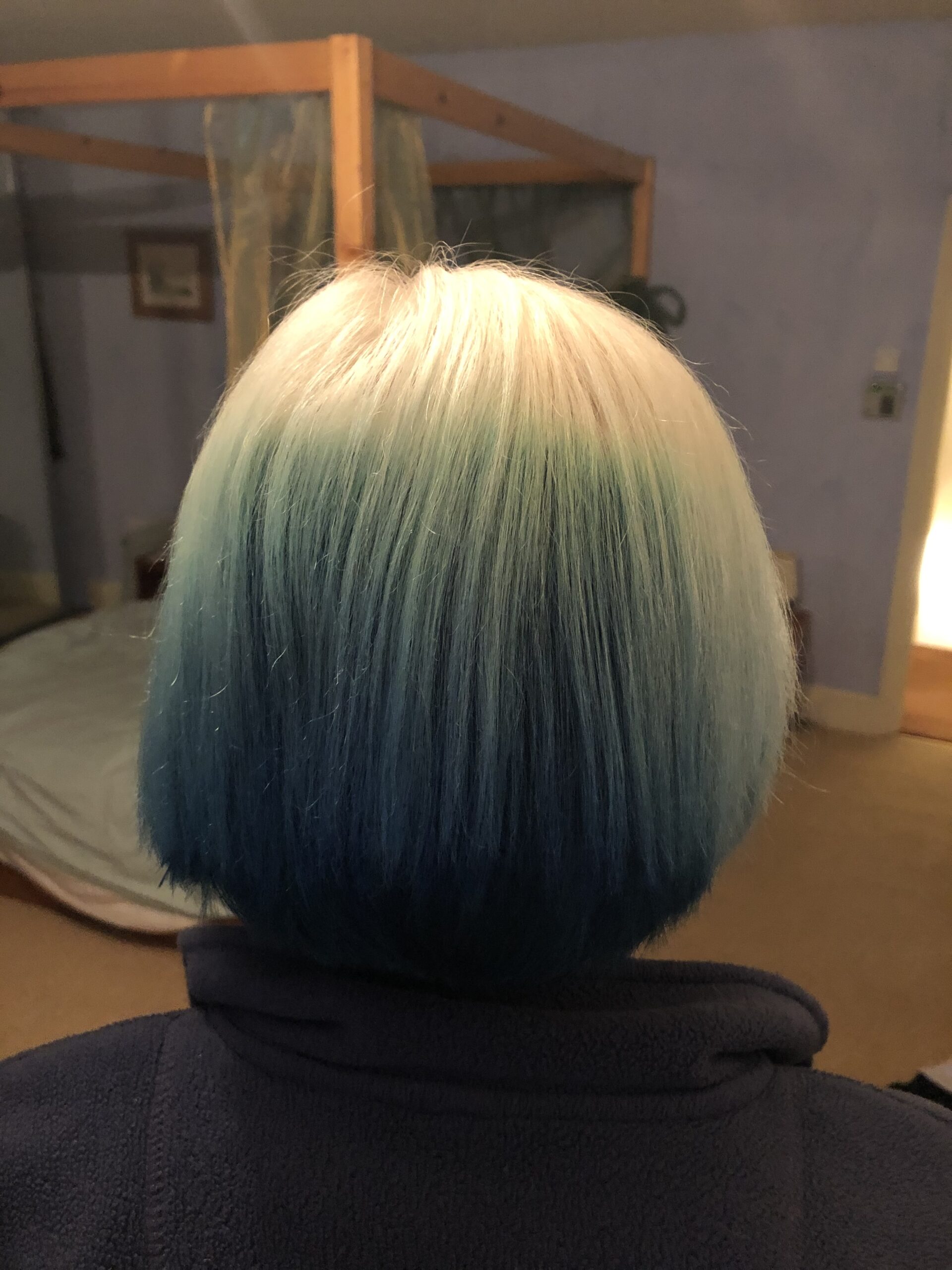 alt="rear view of coloured hair"