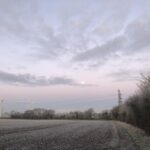 alt="frosty morning in the field with wind turbines in background"