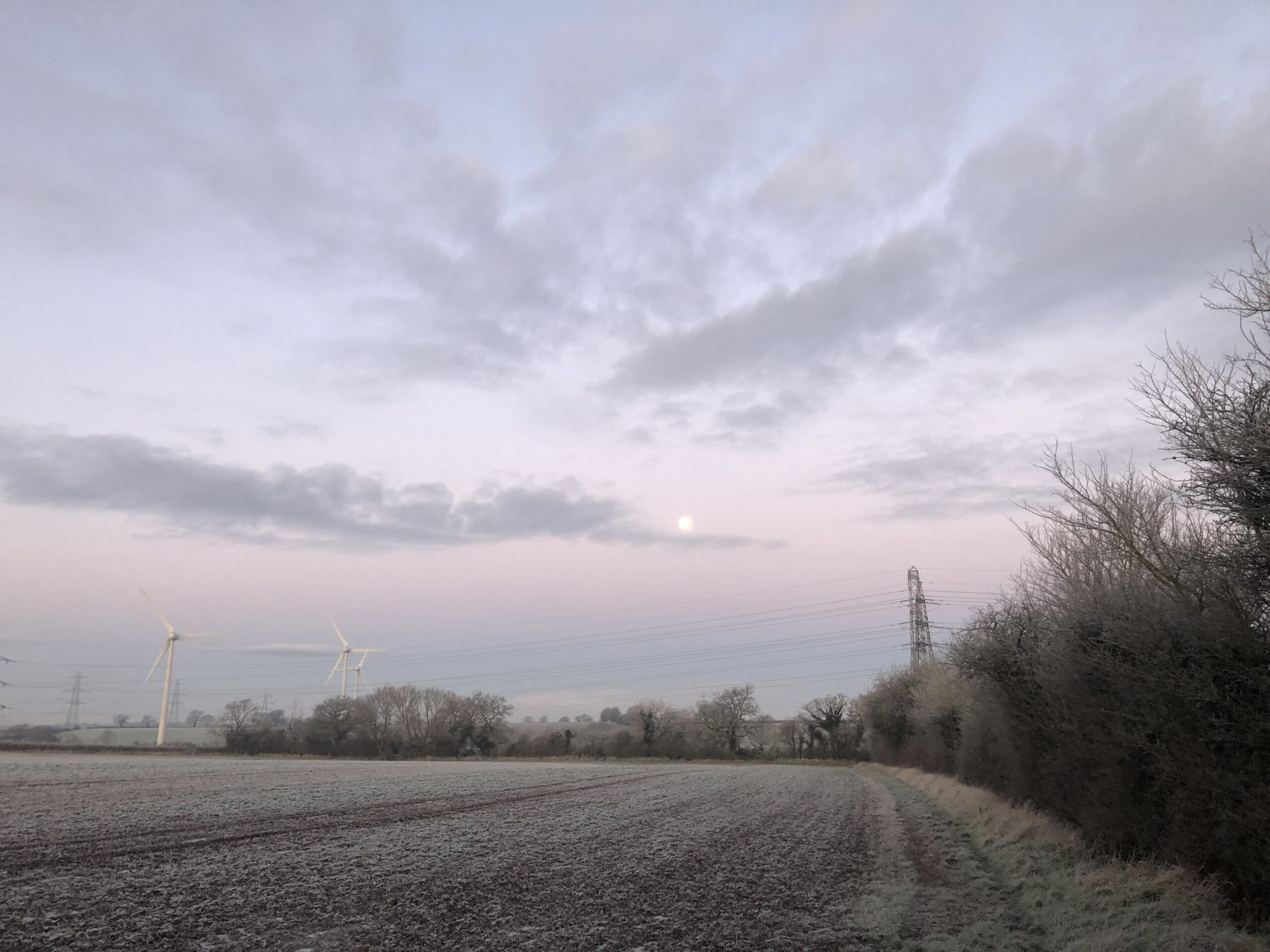 alt="frosty morning in the field with wind turbines in background"