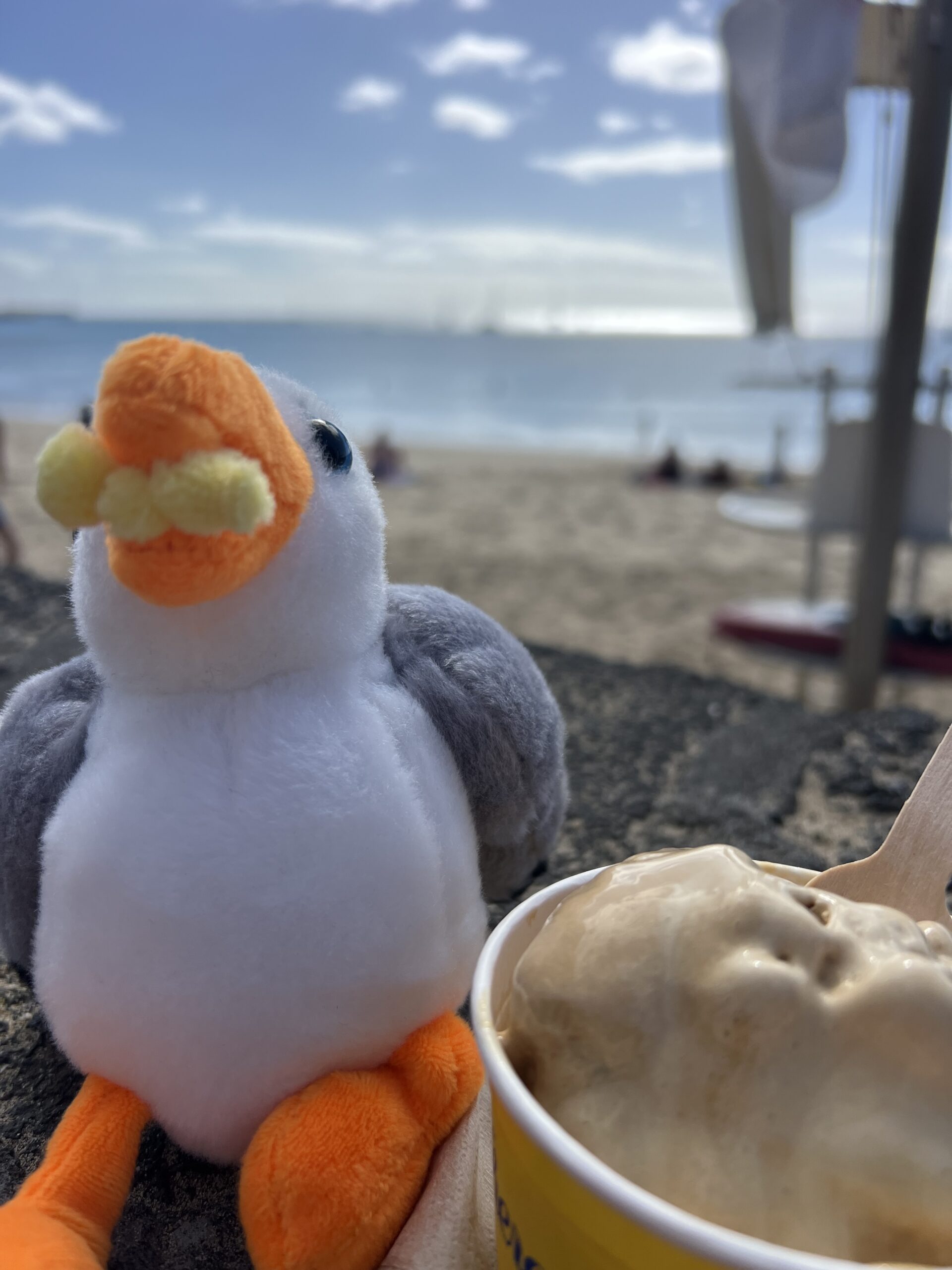 alt="seagull next to tub of ice cream"