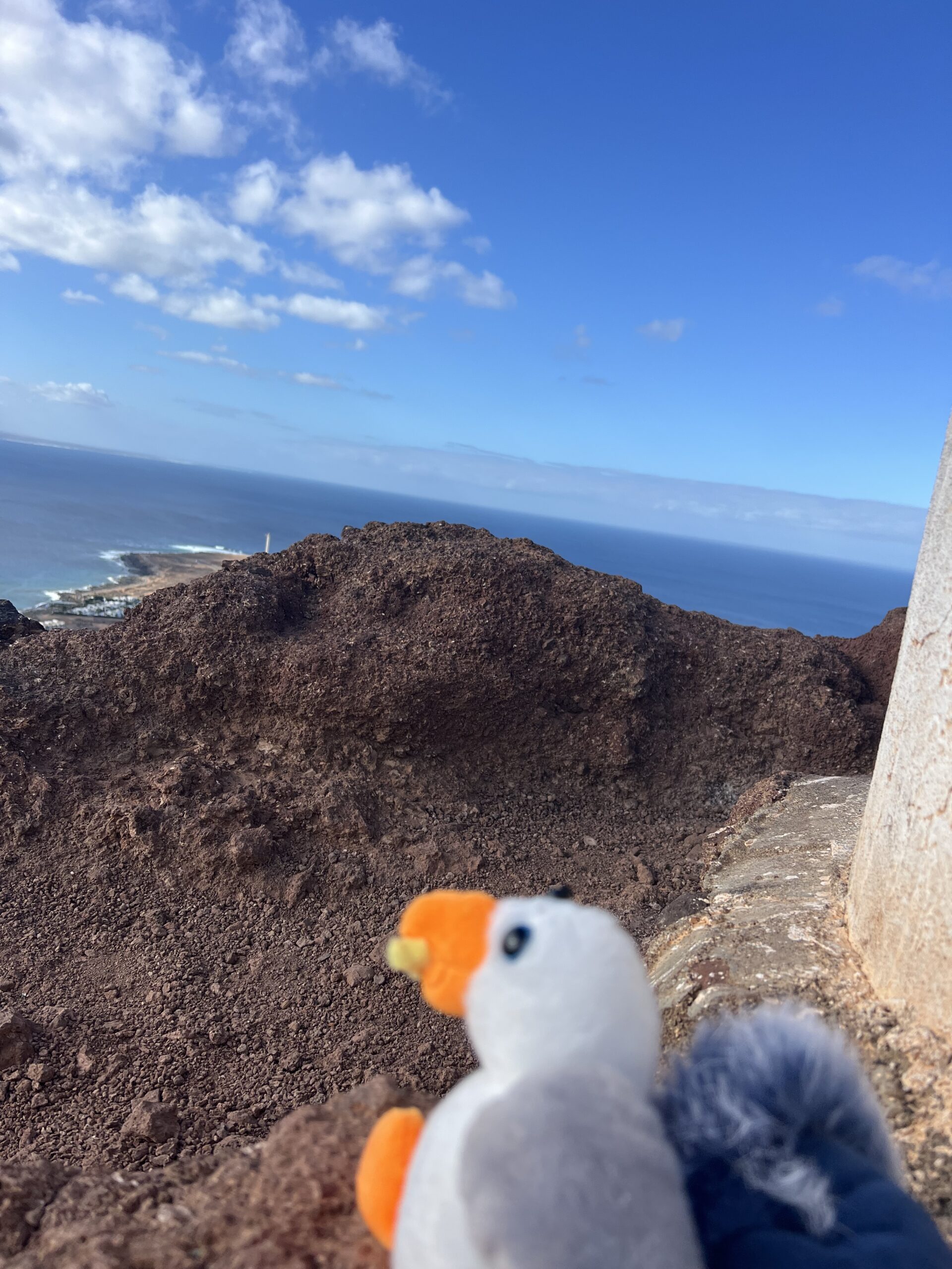 alt="toy seagull with mound behind"