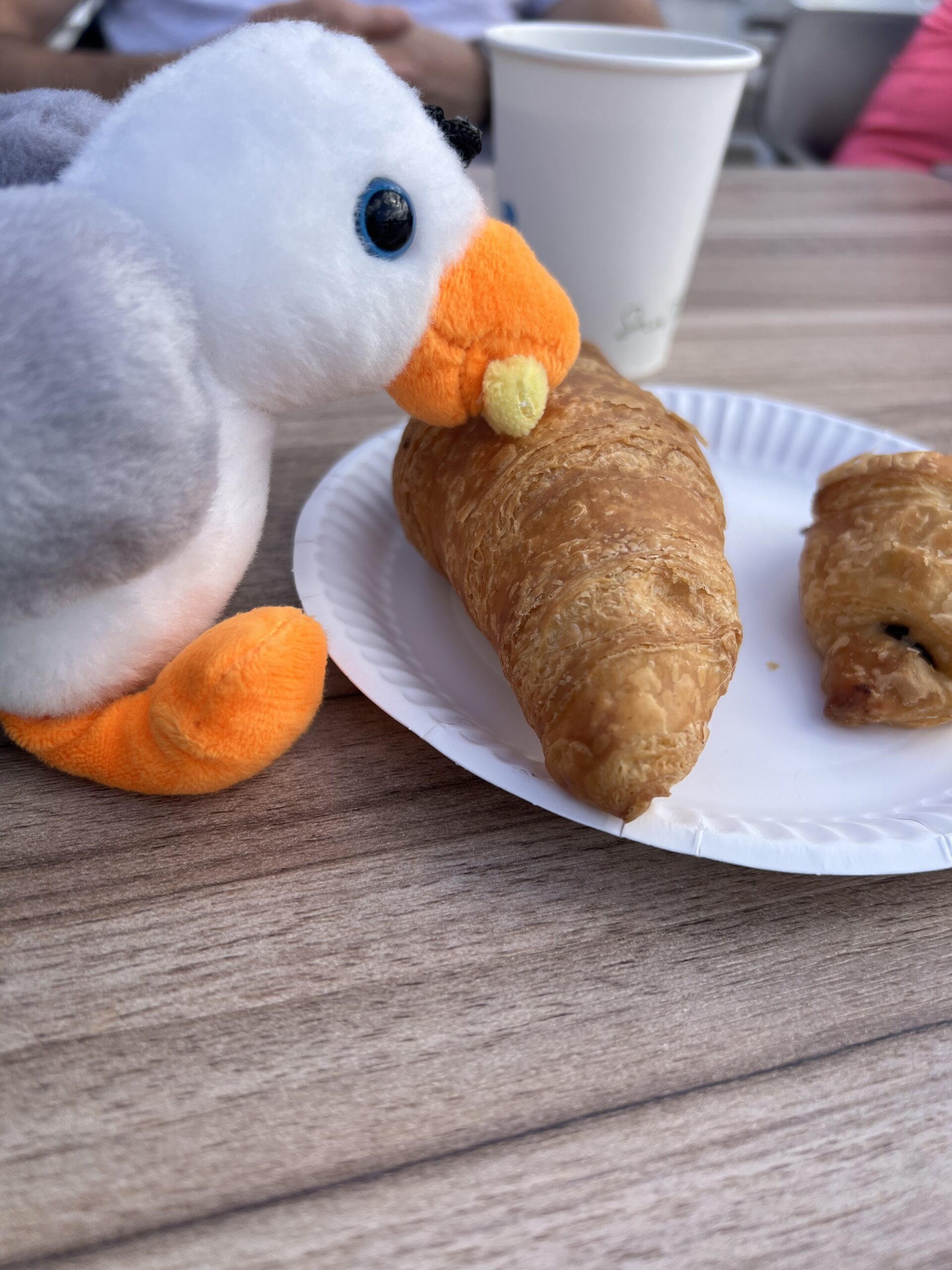 alt="toy seagull eating croissant"