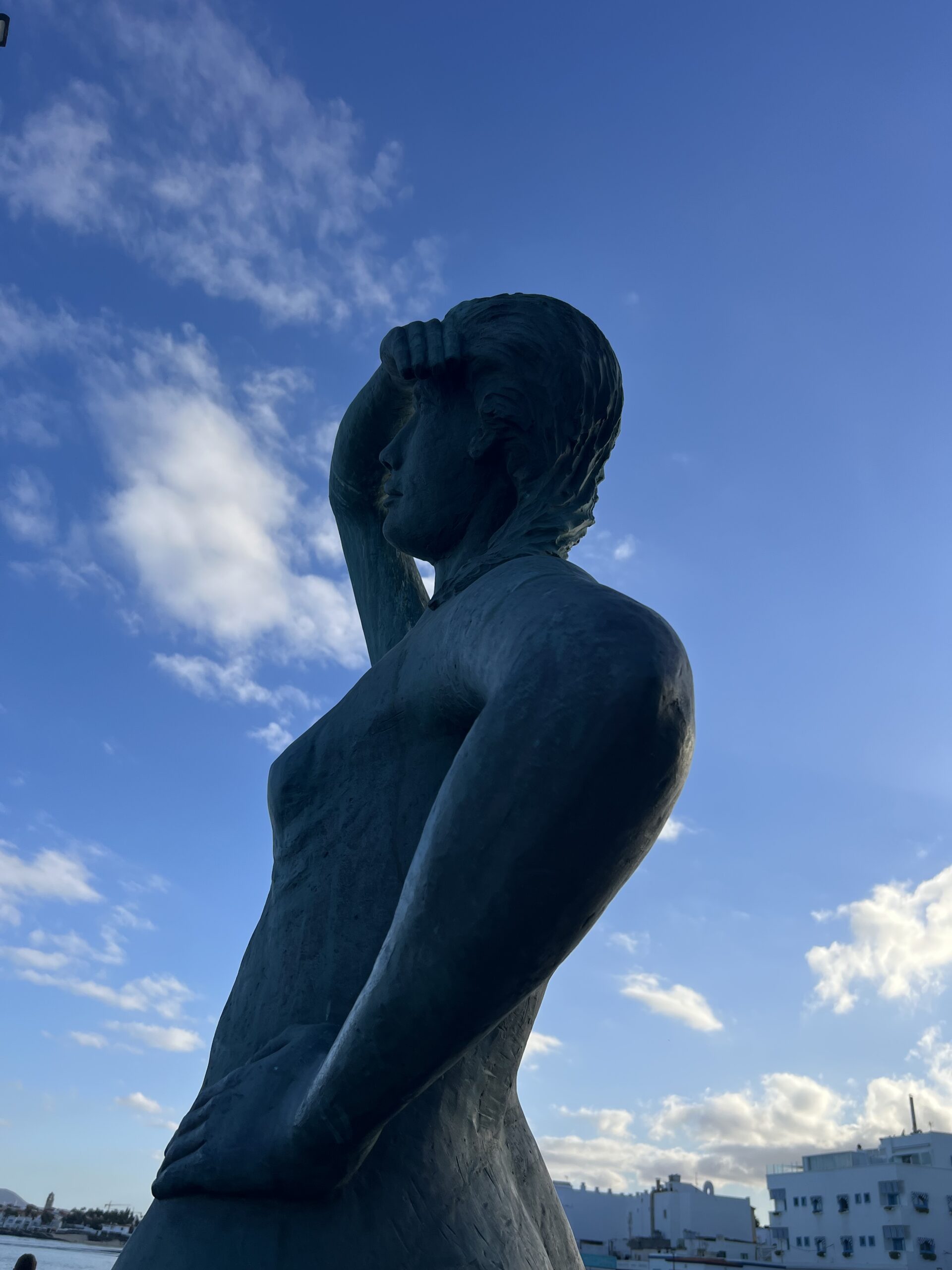 alt="figure looking to sea"
